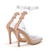 transparent pointed toe cross straps high heel sandals NSGXL132728