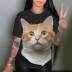 Camiseta holgada informal con cuello redondo y estampado de gatito de talla grande NSLBT130219
