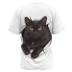 camiseta de manga corta suelta con cuello redondo y estampado de gatitos de talla grande NSLBT130217