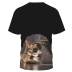 plus size cat print Crew Neck short sleeve loose T-Shirt NSLBT130205