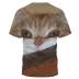Camiseta informal de manga corta con cuello redondo y estampado de gatos de talla grande NSLBT130203