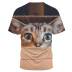 camiseta de manga corta con cuello redondo y estampado de gatito de talla grande NSLBT130199