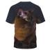 Camiseta de cuello redondo de manga corta con estampado de gato de talla grande NSLBT130197
