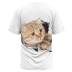 Camiseta informal de manga corta con cuello redondo y estampado de gatos de talla grande NSLBT130196