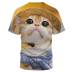 Camiseta de manga corta con cuello redondo y estampado de gatos de talla grande NSLBT130194