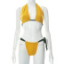 Conjunto de dos piezas de bikini a juego con el color del pecho cruzado sin espalda y cuello colgante NSHLJ133324