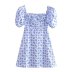 square neck puff sleeves lace-up floral printed dress NSAM133378