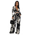printed long-sleeved deep V wide-leg high waist top and pant suit NSYMS134814
