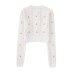  round neck long sleeve small flower embroidery knitted top NSAM135931