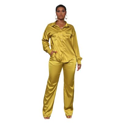 Solid Color Stretch Satin Fabric Long Sleeve Shirt And Trousers Two-piece Set NSLML136465