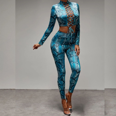 Straps Wrapped Chest Snake Print Long-sleeved Top And Trousers Two-piece Set NSDLY136608