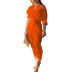 solid color long-sleeved V-neck mid-length dress NSONF136683