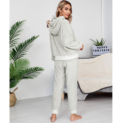 Solid Colordouble-sided Fleece Hooded Sweatshirt And Pants Homewear Set NSYBL136712