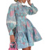 large swing puff sleeve stand-up collar high waist flower print dress NSONF136828