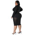 vestido de manga larga delgado con costuras en perspectiva de color sólido con cremallera de talla grande NSLNW136924