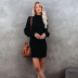 solid color round neck long sleeve bottoming knitted dress NSWJY137251