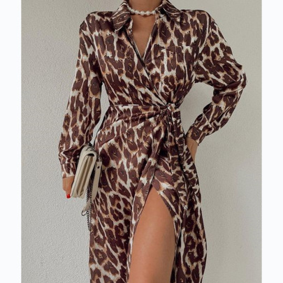 Leopard Print Long-sleeved Lace-up Wrap Dress NSCXY136241